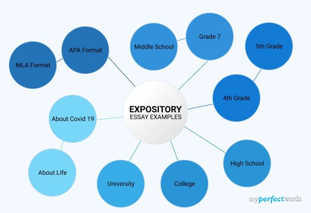 expository essay examples
